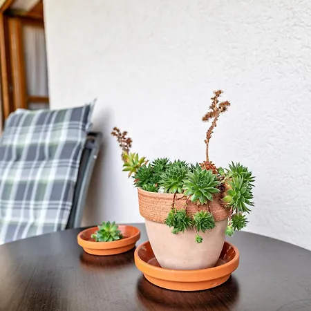 Apartament Zur Linde- Napf *