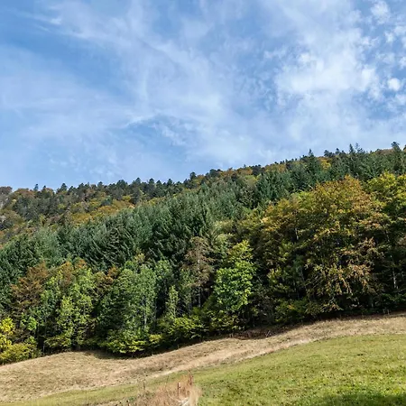 Apartament Zur Linde- Napf *