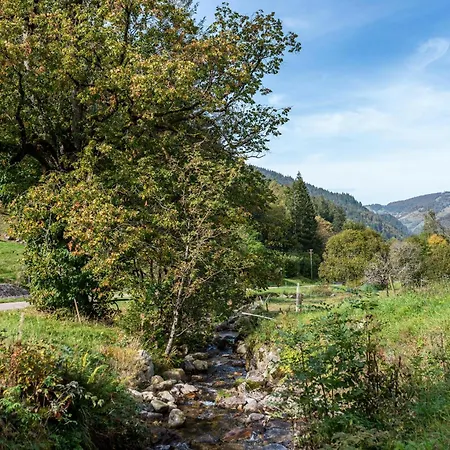 Apartament Zur Linde- Napf