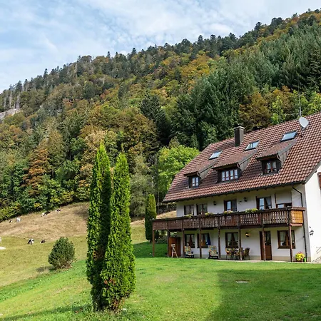 Zur Linde- Napf Apartament