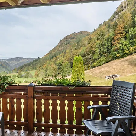 Appartement Zur Linde- Napf *