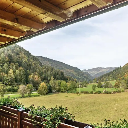 Zur Linde- Napf Lägenhet Oberried (Breisgau)